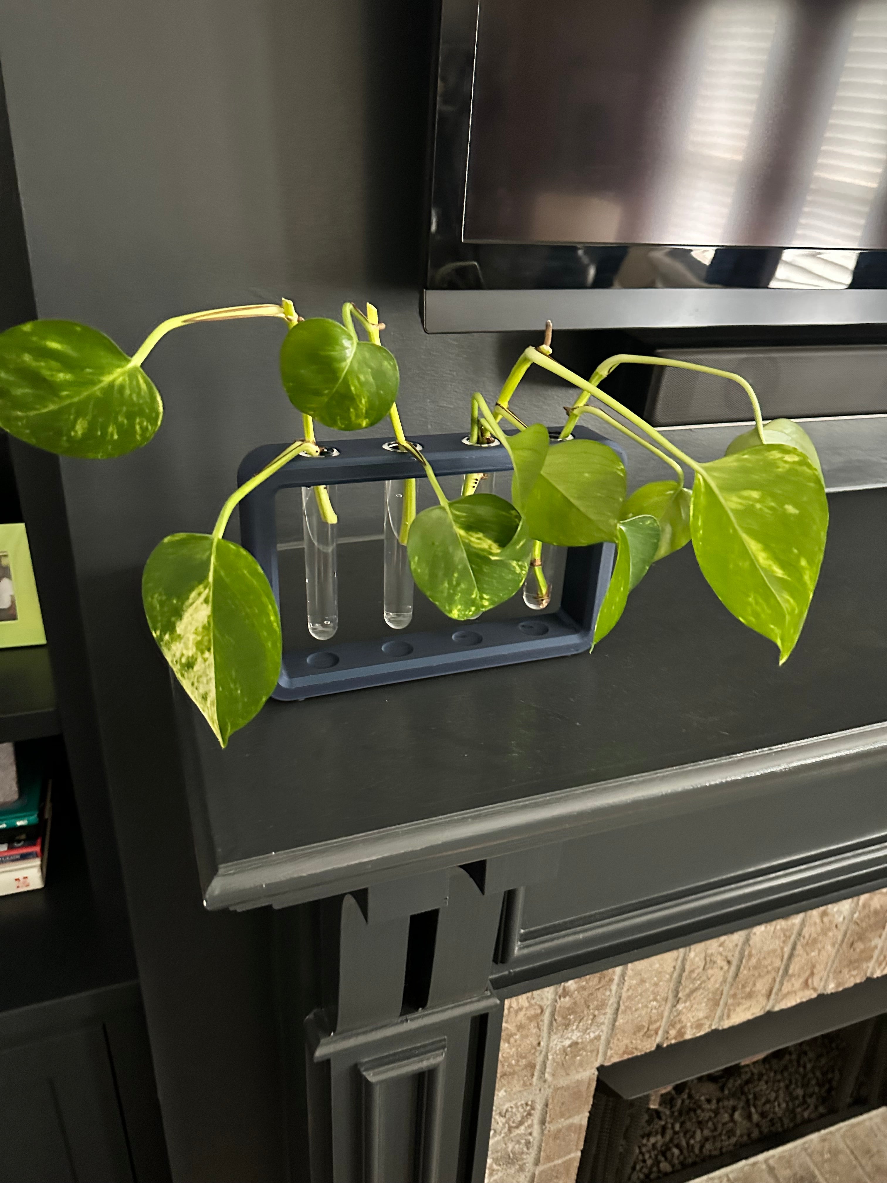 Rectangle Propagation Station: 4 Stations