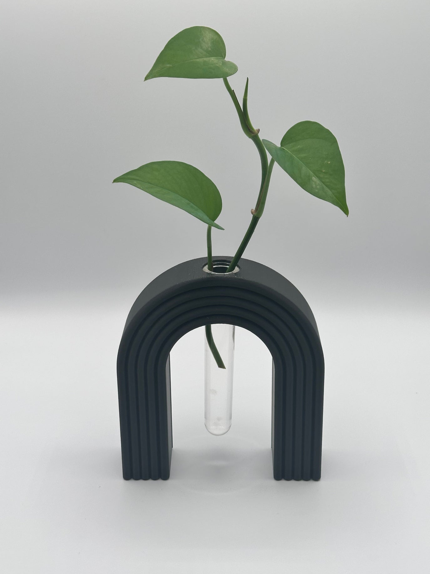 Arched Propagation Station: 1 Station