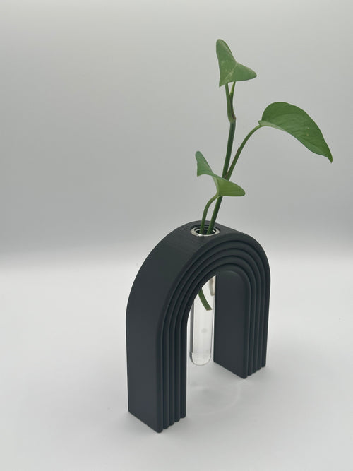 Arched Propagation Station: 1 Station